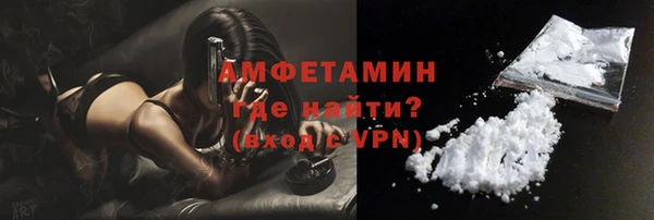 сатива Чердынь