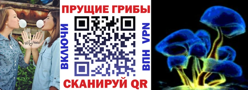 Псилоцибиновые грибы MAGIC MUSHROOMS  Лянтор 